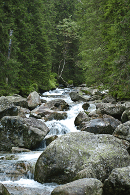 River 253x380